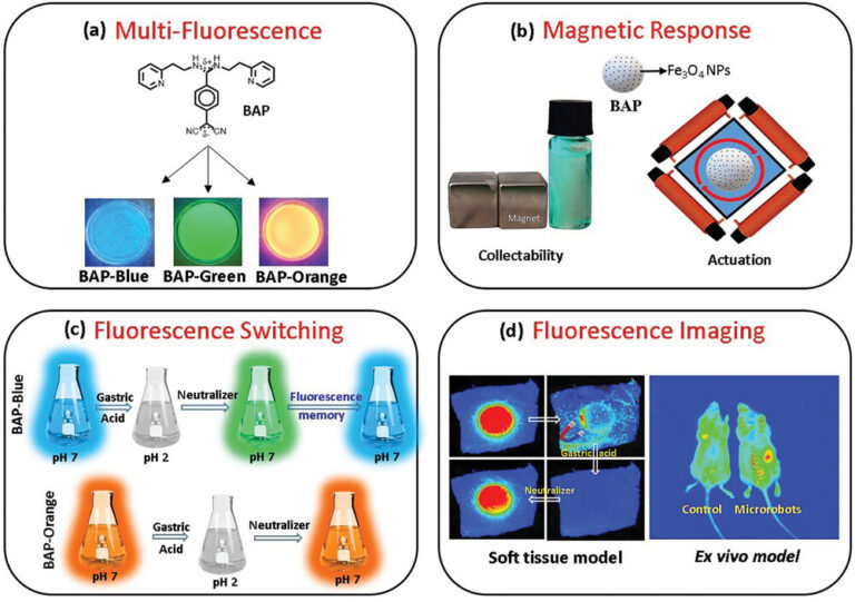 Intelligent Magnetic Microrobots with Fluorescent Internal Memory for ...
